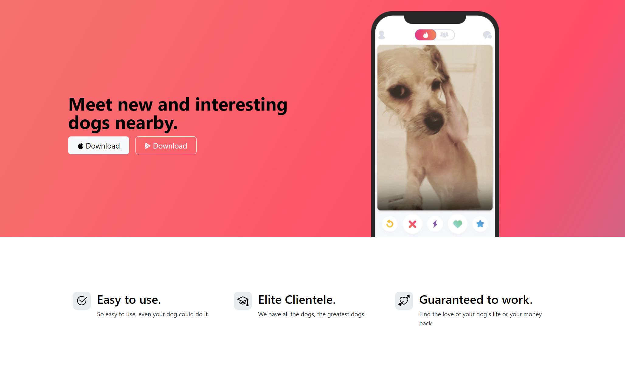 Tindog-Webdesign-Project